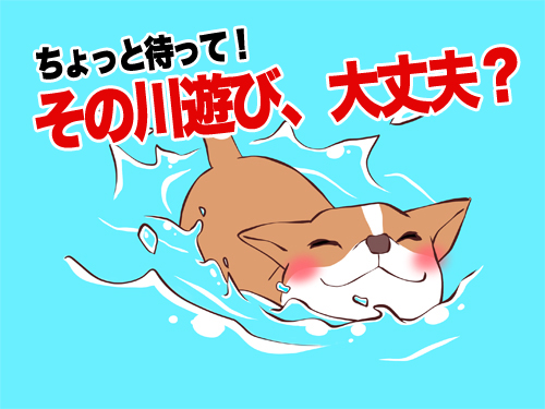 犬泳ぐのコピー
